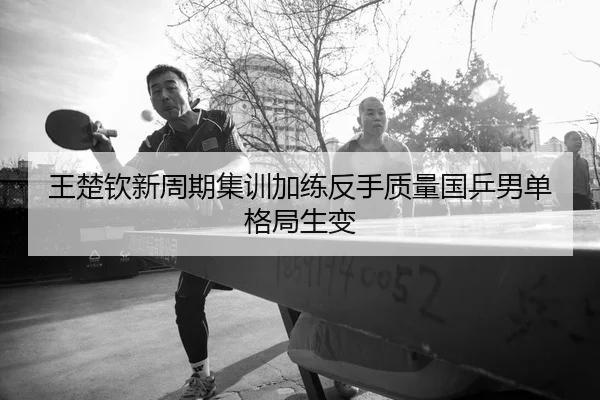 王楚钦新周期集训加练反手质量国乒男单格局生变