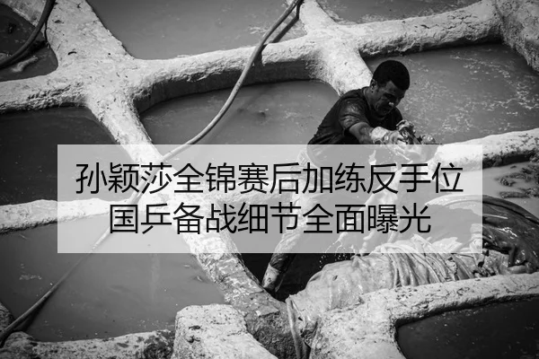 孙颖莎全锦赛后加练反手位 国乒备战细节全面曝光