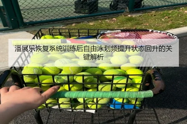 潘展乐恢复系统训练后自由泳划频提升状态回升的关键解析