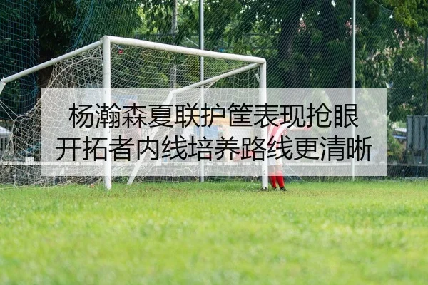 杨瀚森夏联护筐表现抢眼 开拓者内线培养路线更清晰